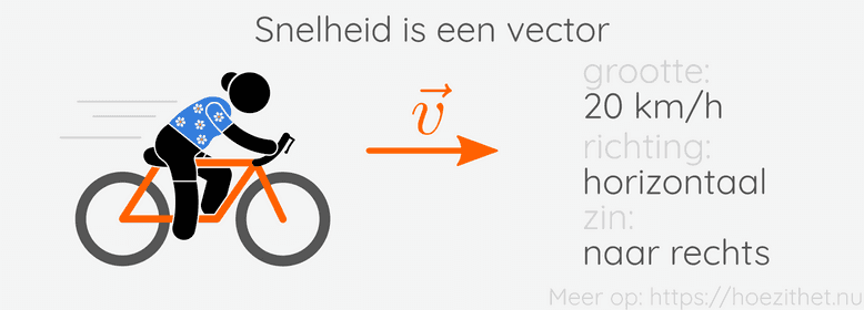 Veeltermen | Hoe Zit Het?