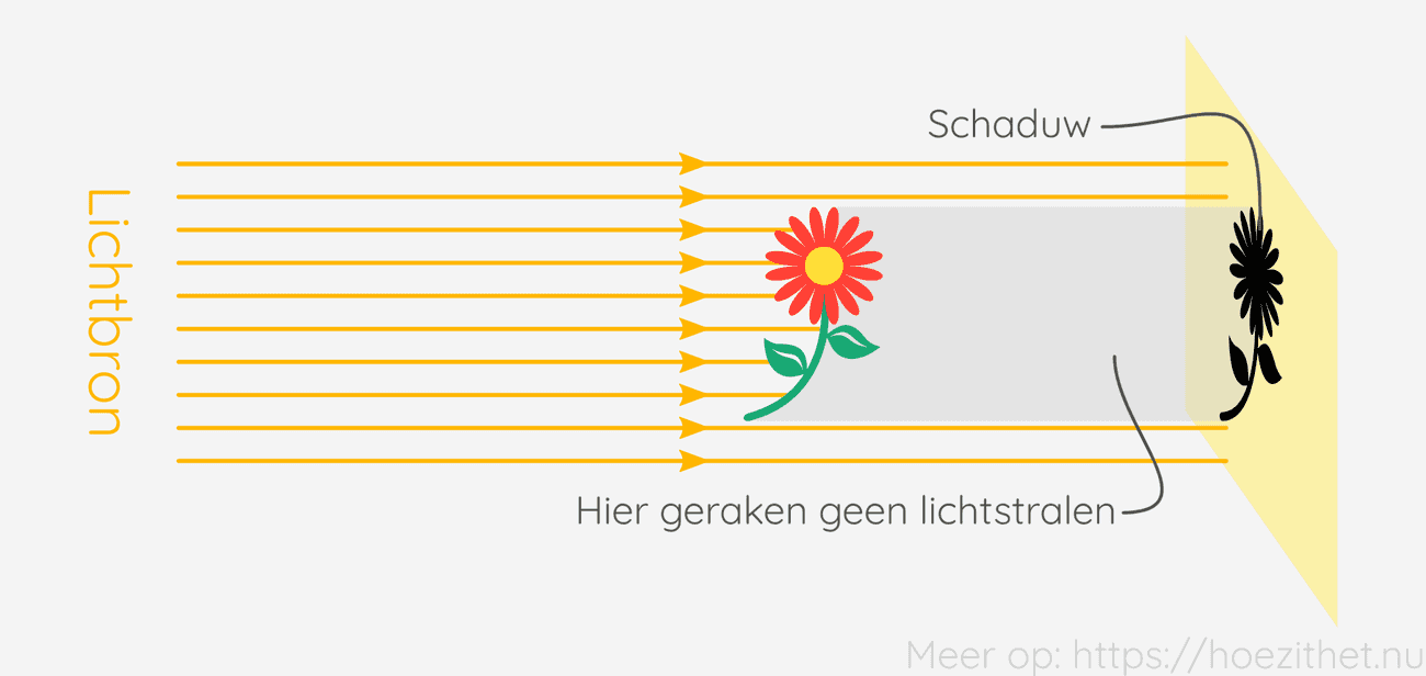 Schaduwvorming Hoe Zit Het schaduwvorming-hoe-zit-het